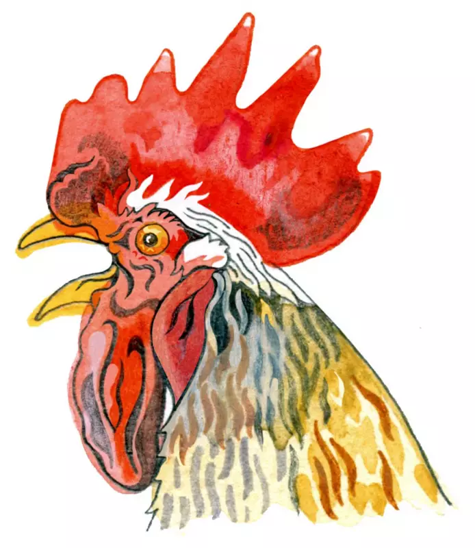 Why Do Chickens Cluck? Kids' Quiz Tests Your Knowledge