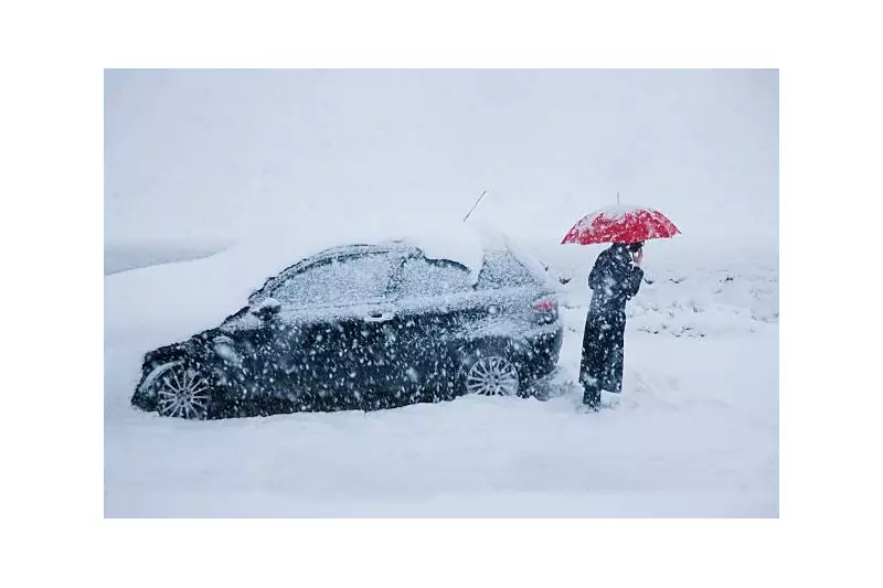 Winter Breakdown Crisis: 270,000 Drivers Stranded Each January