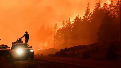 Argentina Wildfires: 3,000 Hectares Burn in Patagonia, Forcing Thousands to Flee