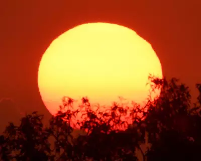 Australia's 2026 Heatwave: Southern States Face Extreme Temperatures