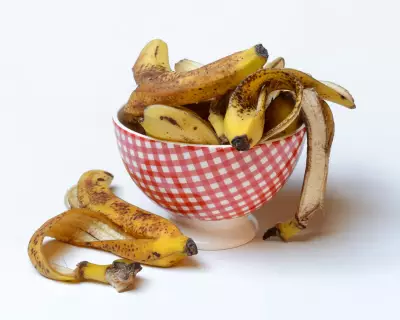 Banana Water for Plants: Viral Hack or Risky Fertiliser? Experts Weigh In