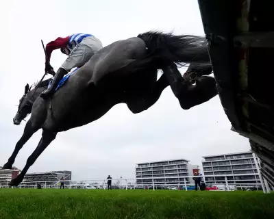 British Jumping's Resurgence: Can Home Team Challenge Irish Dominance at Cheltenham 2026?