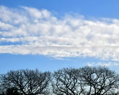 Country Diary: The Eerie Calm After the Storm in Ceredigion