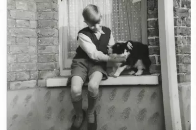 David Bowie's Bromley Childhood Home Set for £500k Restoration as Heritage Hub