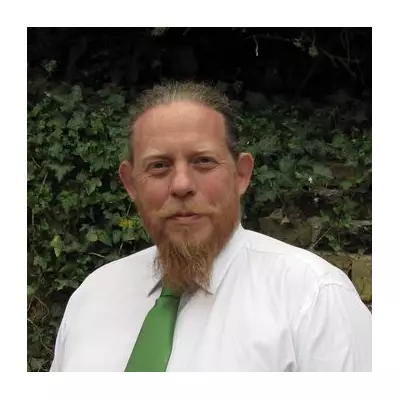 Green Candidate Slams Croydon Mayor Role as 'Nonsense', Vows to Return Power