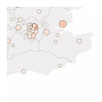 London Flu Hospitalisations Drop to 424 Daily Beds in 'Welcome News'