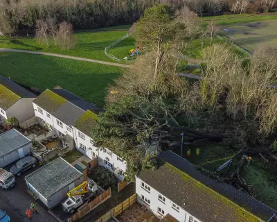 Man, 50, killed as Storm Goretti fells tree onto Cornwall caravan