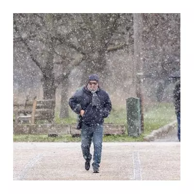 Met Office Debunks Winter-Summer Link as UK Braces for Milder Spell