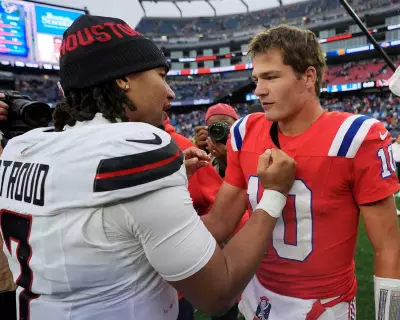 NFL Divisional Round: Texans vs Patriots in Frigid Foxborough Clash