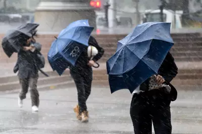 NSW and Queensland Brace for Severe Storms as Heavy Rain Batters East Coast
