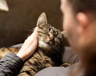 Pet Loss Grief Matches Human Bereavement, Study Finds