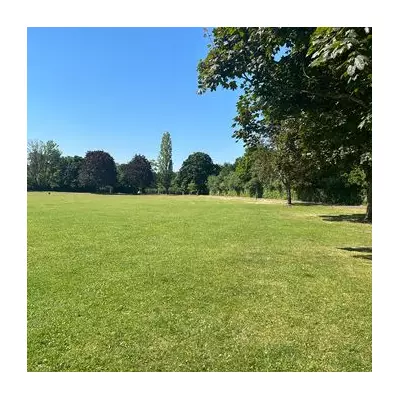 Richmond Council's New Park Events Strategy: More Festivals, Cheaper Tickets