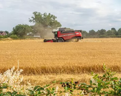 Small Farms Prioritised for Nature Funding in UK's Sustainable Farming Shake-Up