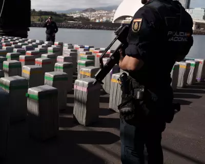 Spanish Police Seize 2.5 Tonnes of Cocaine, Arrest 30 in 'Monkey' Technique Bust