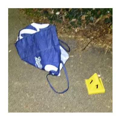 Third Sibling in 'Extraordinary' London Foundling Case Set for Adoption