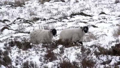 UK Braces for Weekend Snow and Ice as Cold Snap Follows Storm Goretti