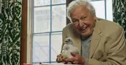 5 Wild London Secrets from David Attenborough's New Nature Documentary