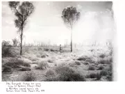 A Sacred Journey to Mina Mina: Finding Holiness in Australia's Great Sandy Desert