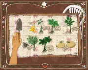 Amid Gaza's Conflict, a Family's Garden Becomes an Act of Defiance