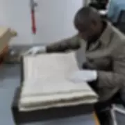 Ancestry Detective Uncovers 20,000 Relatives and Reunites with Long-Lost Brother