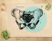 Beyond Kegels: 5 Expert Strategies for Lifelong Pelvic Floor Health