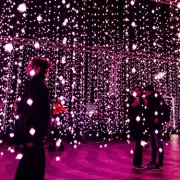 Canary Wharf Winter Lights 2026: Dates, Times & 'Dreamscape' Theme Revealed