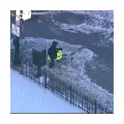 Chicago Crossing Guard Hailed as Hero for Rescuing Child from Flooded Street