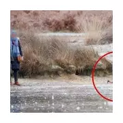Child with hammer on frozen Richmond Park pond as women watch