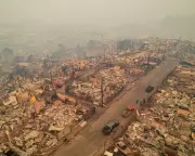 Chile Wildfires: 15 Dead, 50,000 Evacuated as State of Catastrophe Declared