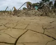 Climate Crisis: It's Our Future at Stake, Not Earth's, Warns Expert