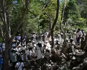 Colombia's Arhuaco People Face Extinction Amid Drug Trafficking and Violence