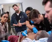 Competency Porn: Why Watching People Excel at Their Jobs is 2026's Top Escapism