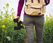 Crowborough's Controversial Summit: A Marilyn in a Front Garden