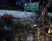 Democrats Condemn Federal Agent Shooting in Minneapolis as Republicans Defend Actions