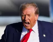 Diplomats' Endless Struggle: Deciphering Trump's 24/7 Media Onslaught