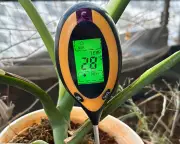 Do Moisture Meters Really Prevent Overwatering Houseplants?