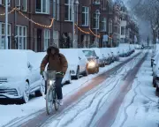 Dutch Paralysis: How a Week of Snow Exposes a Nation's Climate Amnesia