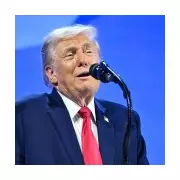 Fact-Checking Donald Trump's Davos Speech Claims on Greenland, NATO and Wars