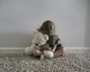 Family Court Crisis: Experts Demand Reform of Custody System