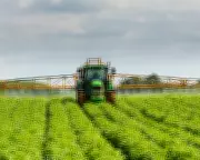 Food Industry Demands Transition Period for Post-Brexit Rules Realignment