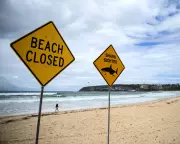 Fourth Shark Attack in 48 Hours Sparks Sydney Beach Closures