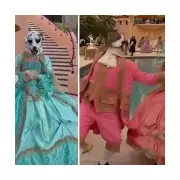 Furries in 18th-Century Gowns Spark Buzz at Trump's Mar-a-Lago Dog Gala