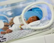 Gaza War Triggers 41% Drop in Births Amid 'Reproductive Violence' Claims