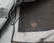 Gaza's Winter Crisis: 1.6 Million Face Starvation as Israel Bans Key NGOs