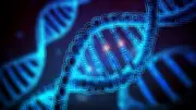 Genetics Now Seen as Major Factor in Human Lifespan, New Study Reveals