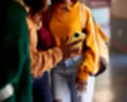 Growing Calls for UK Social Media Ban for Under-16s After Lords Vote