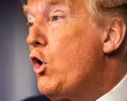 Guardian Readers React: From Baffling TV to Nobel Prize Satire