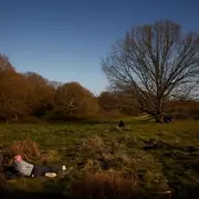 Hampstead Heath's 5-Year Plan: Padel Courts & 11 New Ponds Proposed