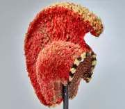 Hawaiian Treasures, Beuys' Bathtub & Nan Goldin's Ballad: London's Art Week