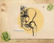 Hip Health Secrets: From Tiny Exercises to Step Counts for a Pain-Free Life